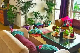 建议：适合客厅养的“大盆栽”，显高级，幸福感倍增图片