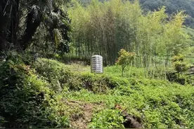 警事日记︱派出所故事：小事自在民心图片
