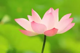看穿“人心”没那么难，庄子教你3个方法，让你更懂人性图片