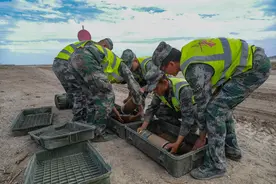 全力保障！带你看训保尖兵们的幕后战场图片