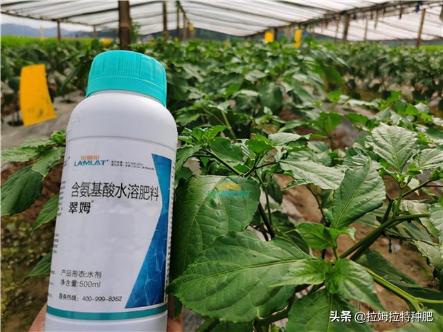 姘ㄥ熀閰稿彾闈㈣偉浣犵湡鐨勪簡瑙ｄ箞锛熺湅杩欓噷甯綘鏁存槑鐧? onerror=