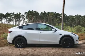 特斯拉Model Y SUV评测：加高版的毛豆3值得溢价图片
