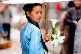玉女董洁跌落神坛，“激吻门”后致两年不敢出门，一步错步步错图片