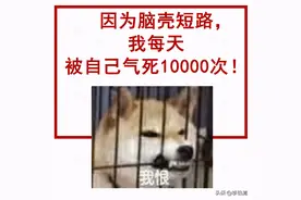 救命！我快被这些脑壳短路的四川人笑死啦图片