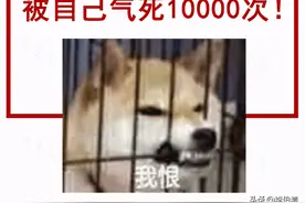 救命！我快被这些脑壳短路的四川人笑死啦图片