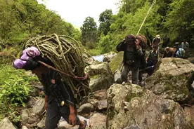 实拍世界最高山上的采蜜人，死亡率极高，原始采蜜技艺即将消亡图片