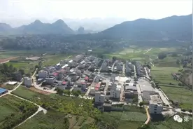 忻城：种桑养蚕“脱贫茧”，科学喂养“致富牛”图片