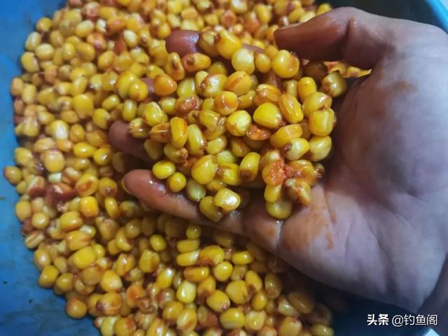 老玉米窝料速成法，两天就能用，针对鲫鱼鲤鱼草鱼