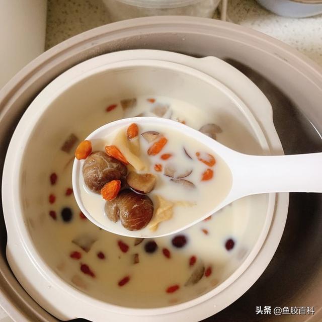 花胶竹笙煲白鸽的做法大全 竹笙炖花胶功效