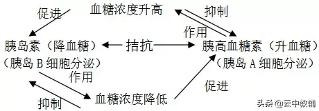 高中生物必修三知识点总结