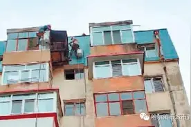 拆违进行时 | “蜘蛛人”爬楼 拆除违建鸽笼 道里区新阳路街道拆违4000余平方米图片