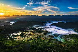 乡愁里的酉阳② | 今秋“花田喜事”多图片