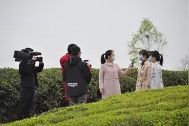 新华社向全球推介贵州湄潭茶！图片