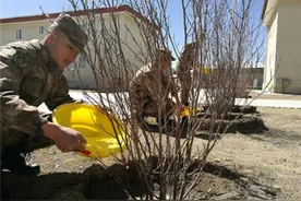 中国唯一没有树的县：数千年种不活1棵树，专家：活一棵奖30万图片