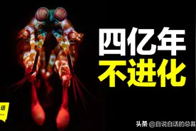 全身黑科技，4亿年不进化，它简直是一只外星机甲图片