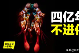 全身黑科技，4亿年不进化，它简直是一只外星机甲图片