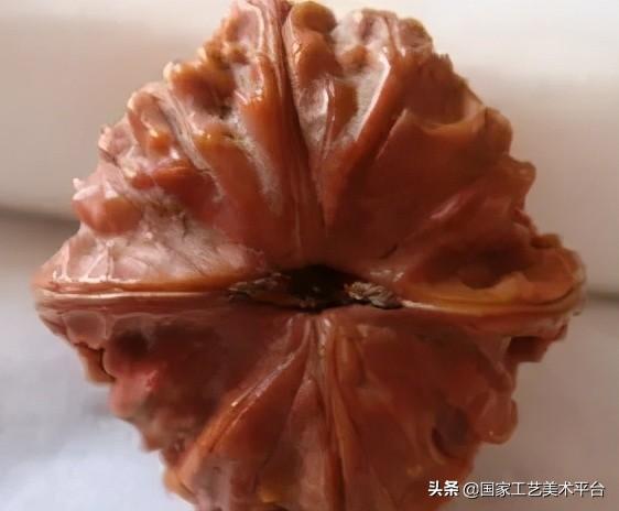 核桃中的极品你知道吗？史上最全盘点，文玩核桃的分类及图片！