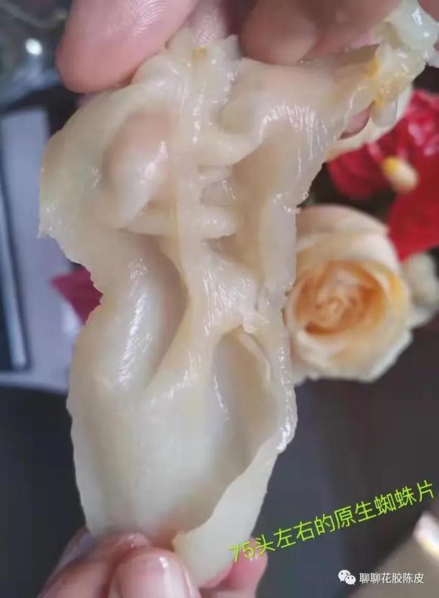 印尼黄花胶是什么鱼的胶 2026年印尼黄花鱼花胶怎样的