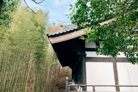 7天完全不用手机，全程吃素，不能说话，禅修生活竟然无比幸福图片