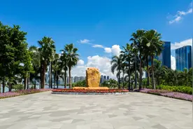 报名！第二期前海城市新中心建设市民开放日重磅来袭！图片