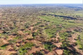 站在东山之巅，望绿浪滚滚，奔涌古浪——古浪县黄河流域生态保护和高质量发展生态篇图片