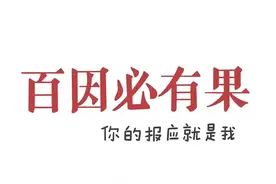 壁纸控：百因必有果，你的报应就是我图片