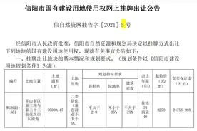 挂牌起拍高达8250元/㎡，信阳房价破万在即？图片