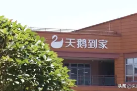 天鹅到家赴美上市，“家庭服务第一股”能否独飞？图片