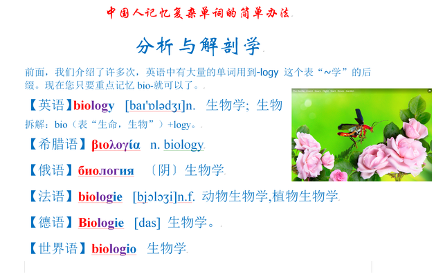 中国人记忆复杂单词的简单办法：分析与解剖学