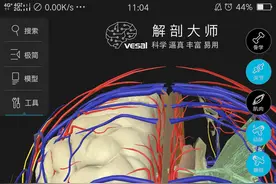 高清的哦3D人体解剖图-希望对大家有帮助图片