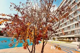 激情风采“篮”不住，以球会友促交流 | 太原市外国语学校与古交市第二高级中学举行篮球友谊赛图片