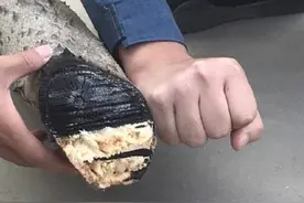 美激光炮击落无人机多厉害？俄专家说了实话，中国激光炮却在砍树图片