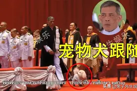 泰王带宠物犬参加毕业典礼，侍卫膝盖跪地走，小狗却穿军装随便跑图片