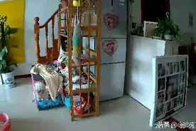 我的可爱哈皮图片