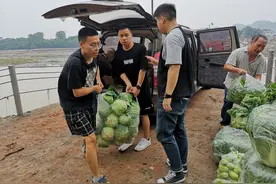 暖心：在校大学生为家乡捐赠1000斤蔬菜图片