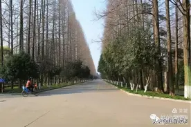 南京军区大院　镌刻几代军人厚重的记忆图片