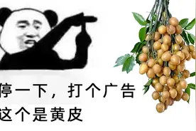 皮皮皮！这水果浑身是宝！图片