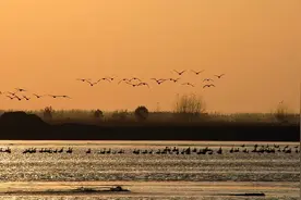 黄河文化专题文献研究——黄河基本概况图片