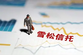 雪松信托再陷兑付危机：“金虎347项目”被指违约，逾期金额5亿元图片