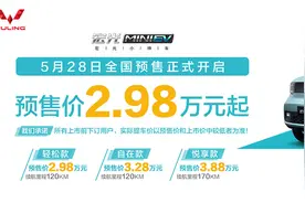 五菱宏光MINI EV预售2.98万元起 6月正式上市图片