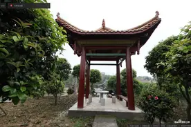 发现木结构|湖南省湘潭市天新生态园仿古四角亭图片