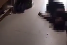 浙江丽水一学校女生受伤倒地，老师：学生打闹所致图片