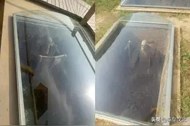 殷墟人骨DNA结果出炉，揭秘商朝后裔地理分布，网友：有点意外图片