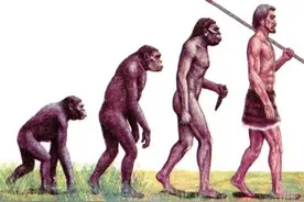 北京人和山顶洞人是我们的祖先吗图片