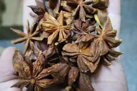 几十种香料酒店厨师来说说它们的特性，你值得拥有，必有用之图片