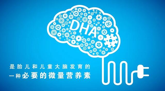 DHA琛ヤ笌涓嶈ˉ锛屾櫤鍔涖€佽鍔涖€佽瑷€鏂归潰鐨勫樊鍒珶杩欎箞澶э紵