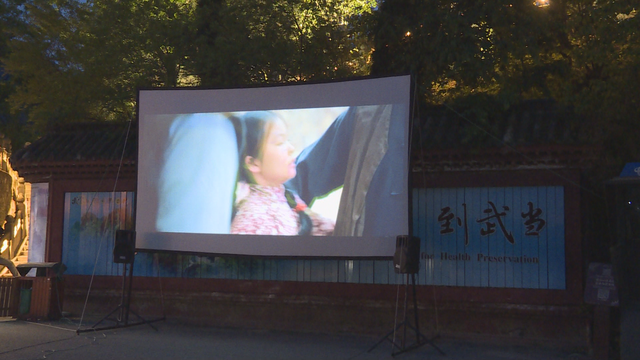 ʮ���䵱ɽ����ɫӰƬ��ӳ������