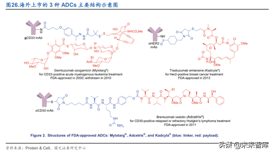 创新药之创新靶点深度研究
