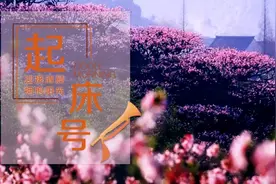 【起床号】4月23日，早安！歌曲《在那桃花盛开的地方》图片