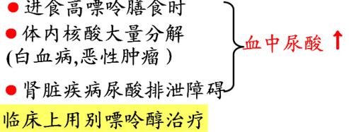 高中生物化学复习提纲，必考榜。’